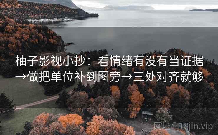 柚子影视小抄：看情绪有没有当证据→做把单位补到图旁→三处对齐就够